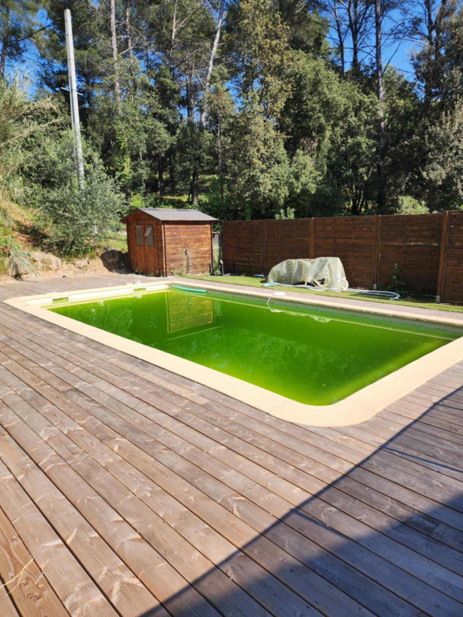 Pose de bois autour d'une piscine
